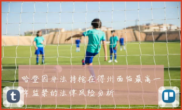 哈登因非法持枪在得州面临最高一年监禁的法律风险分析