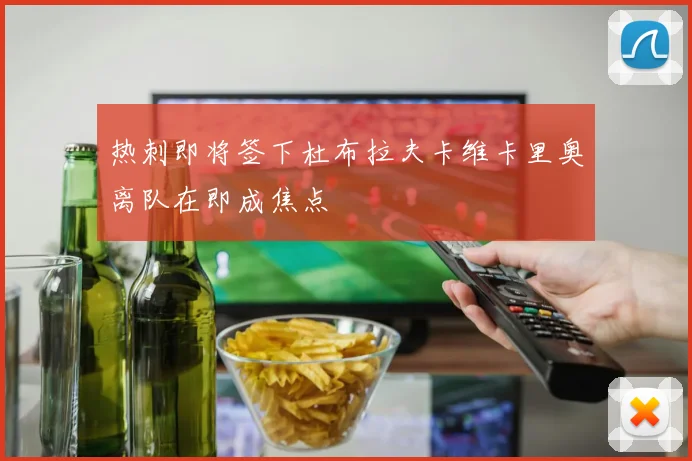 热刺即将签下杜布拉夫卡维卡里奥离队在即成焦点